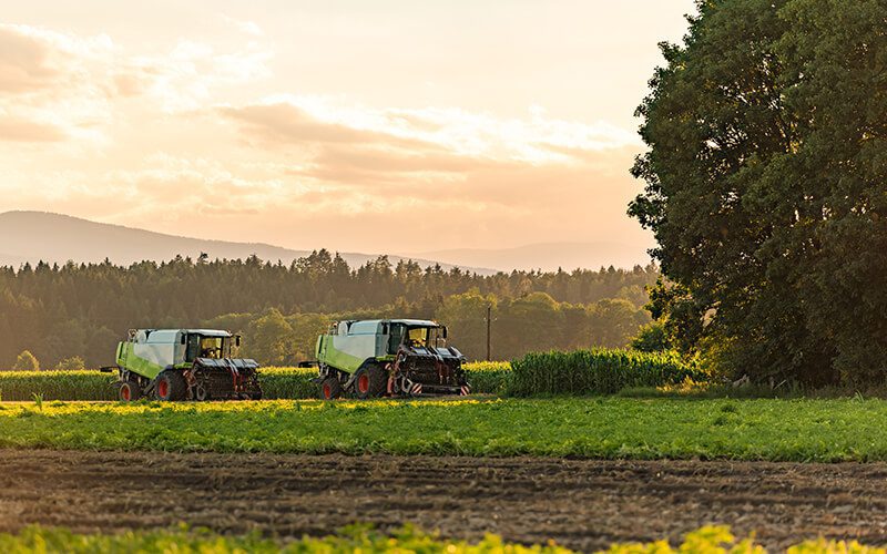 100+ bayimizden biri olun